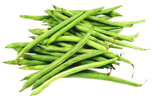 Organic fresh beans, Color : Green