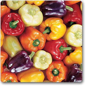 Mix Color Capsicum