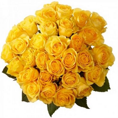 Organic Yellow Rose Flower, for Cosmetics, Gifting, Occasion : Birthday, Wedding