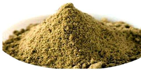 Tulsi Extract,tulsi extract