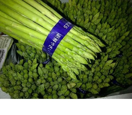 Asparagus Beans, Packaging Type:Thermacol Box