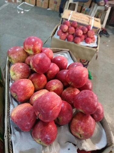 Organic Himachali Apples, Variety : Delicious