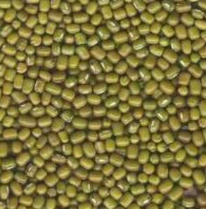 Green moong dal Whole, Moong Pulse, for Cooking, Packaging Type : Plastic Bag, Plastic Packet