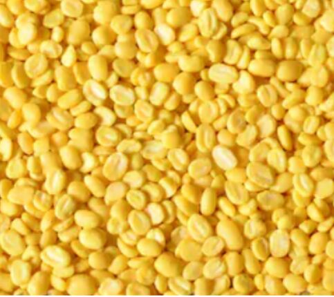 Moong Dal Polished, Green Moong Pulse, for Cooking, Packaging Type : Jute Bag