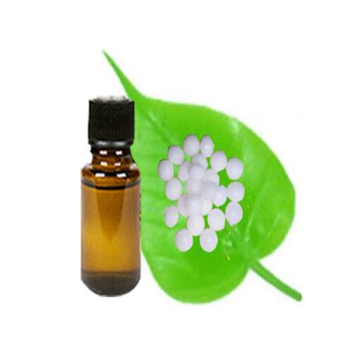 Camphor Oil,camphor oil, for Medicine, Packaging Type : Glass Bottels