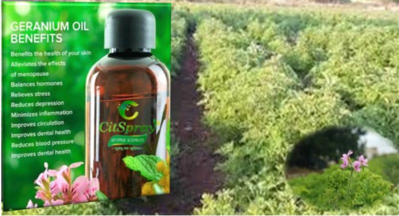 CitSpray leaf natural geranium oil, for all body