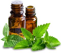Spearmint oil, for Healing Wounds, Packaging Type : Glass Bottles
