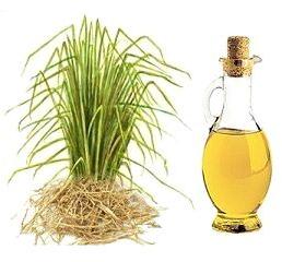 Vetiver Oil, for Massage, Purity : 100% Natural