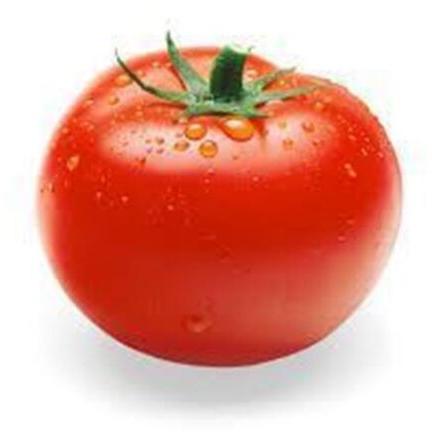 fresh tomato