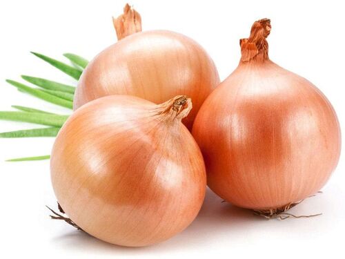 Organic Fresh Yellow Onion, for Human Consumption, Feature : Freshness, High Quality, Natural Taste