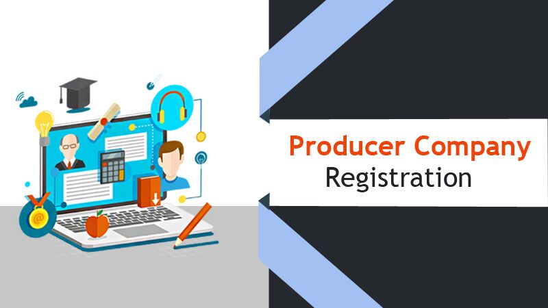 Producer Company Registration Service