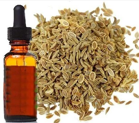 Celery Seed Essential Oil, for Medicine Etc, Certification : COA MSDS, GC Test Pass