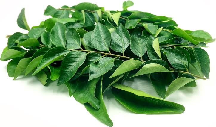 Organic Fresh Curry Leaves