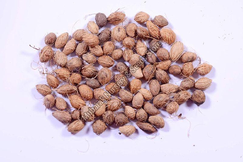 Areca Palm Seeds, Packaging Size : 10-20kg