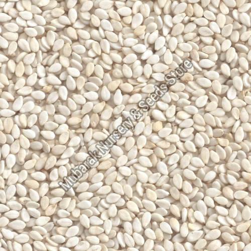 Natural sesame seeds, for Medicinal, Agriculture, Feature : Non Harmul, Gluten Free