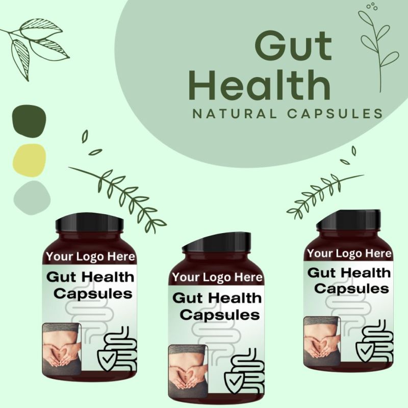 Vanity Vision Gut Health Capsules, Packaging Type Plastic Bottle