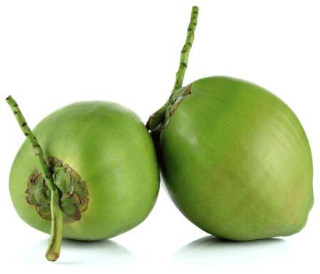 Organic Hybrid Green Coconut