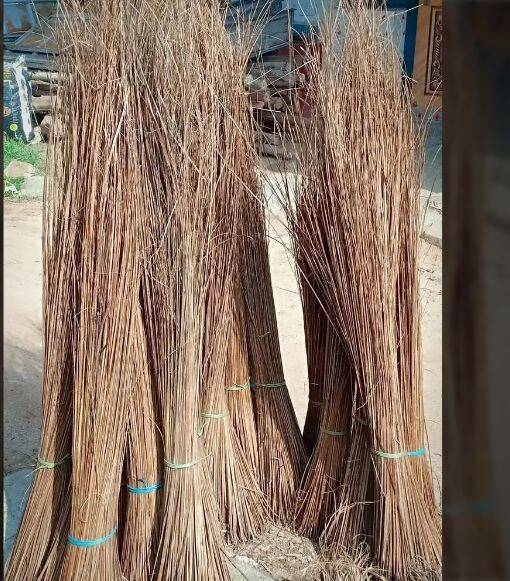 Natural Coconut Broom Sticks
