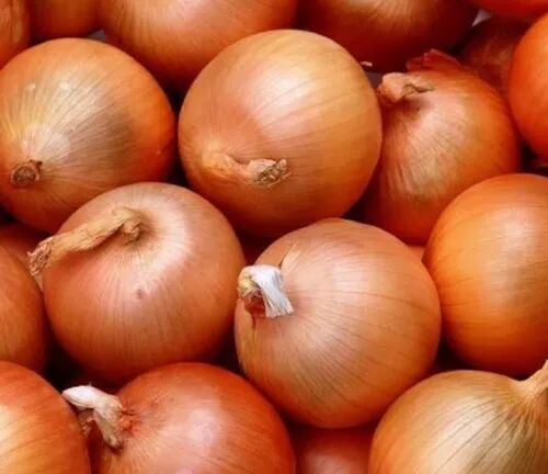 Brown Onion