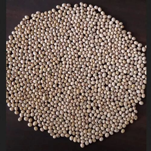 Soybean Seed, For High In Protein, Purity : 99%