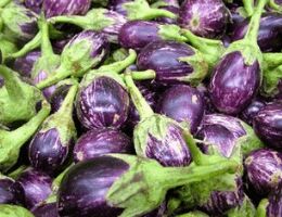 fresh brinjal