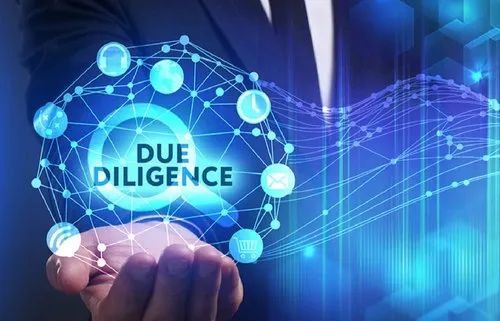 Corporate Due Diligence Service