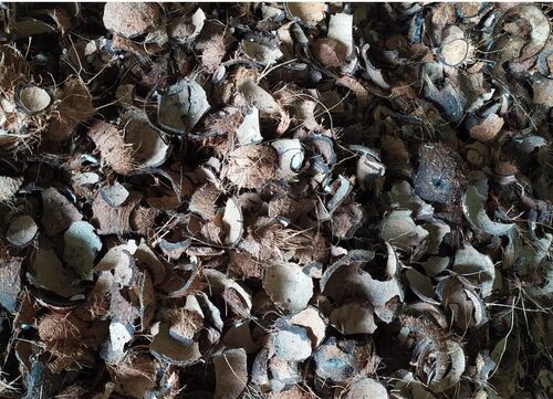 Crushed Coconut Shell, Color : Brown