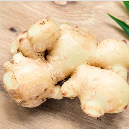 fresh ginger