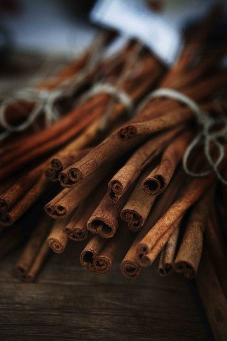 Organic Cinnamon Extract, Color : Brown