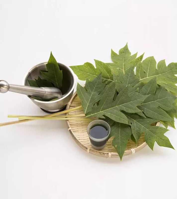 Organic Papaya Leaf Extract, For Medicinal