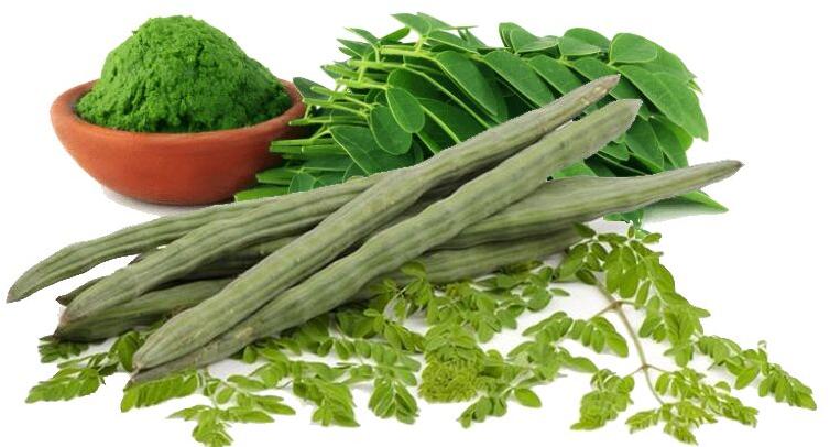 Moringa Leaf Powder, Color : Green