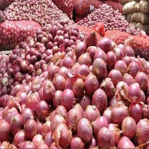 Fresh red onion, Packaging Size : 50 kg