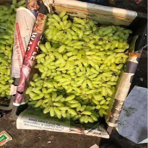 Green grapes, Packaging Size : 10 Kg