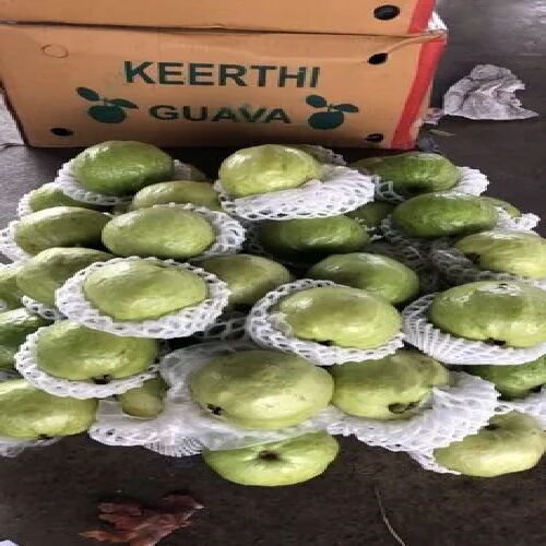 Thai Guava, Packaging Size : 20 kg