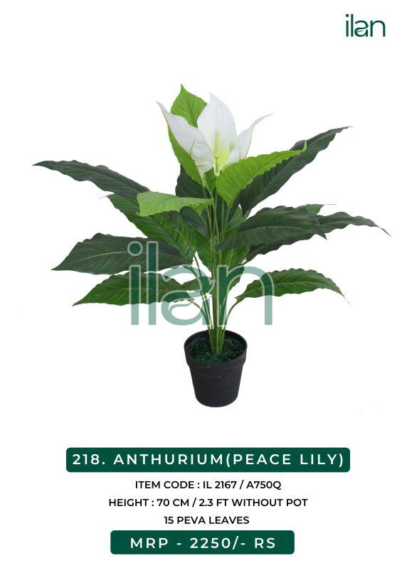 Anthurium artificial lily plants, Size : 2.3 FT