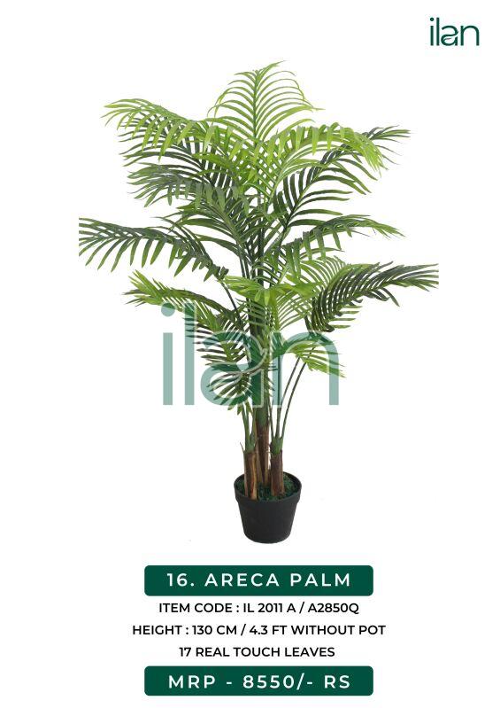ARECA PALM 2011 A, Feature : Easy Washable