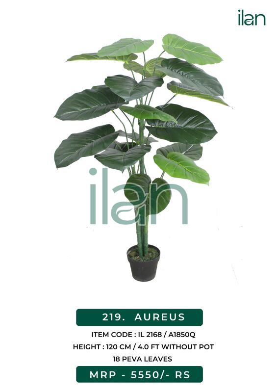 Aureus 2168 decorative plant, Size : 4 FT