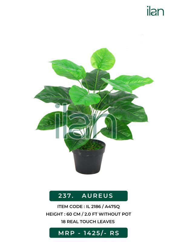 aureus 2186 artificial plant