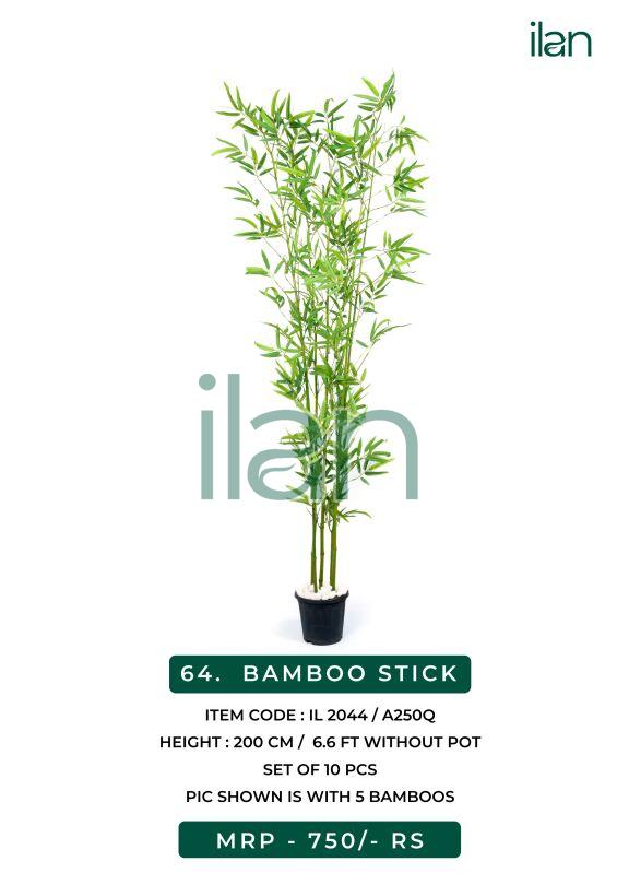 bamboo stick plant