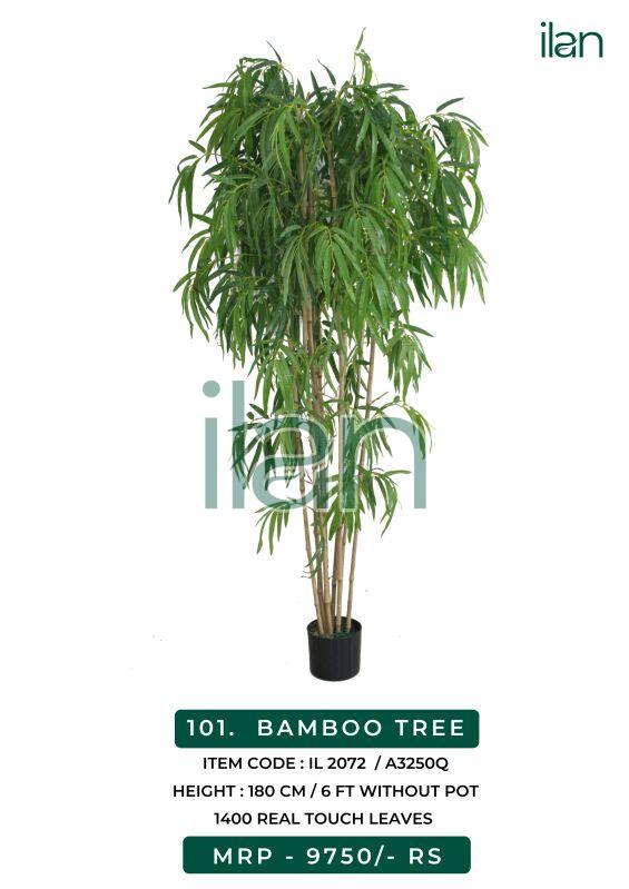 BAMBOO TREE