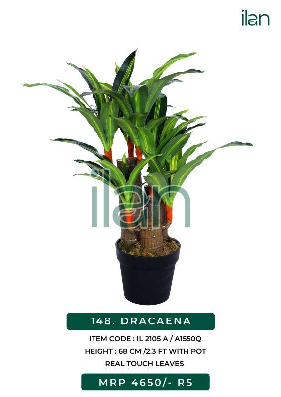 dracaena 2105 a artificial plant