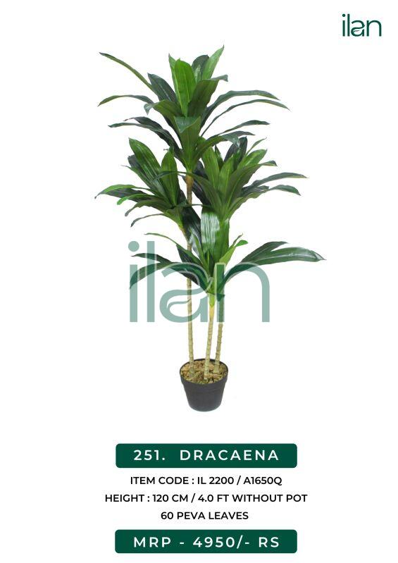 Dracaena 2200 artificial plant, Size : 4 FT