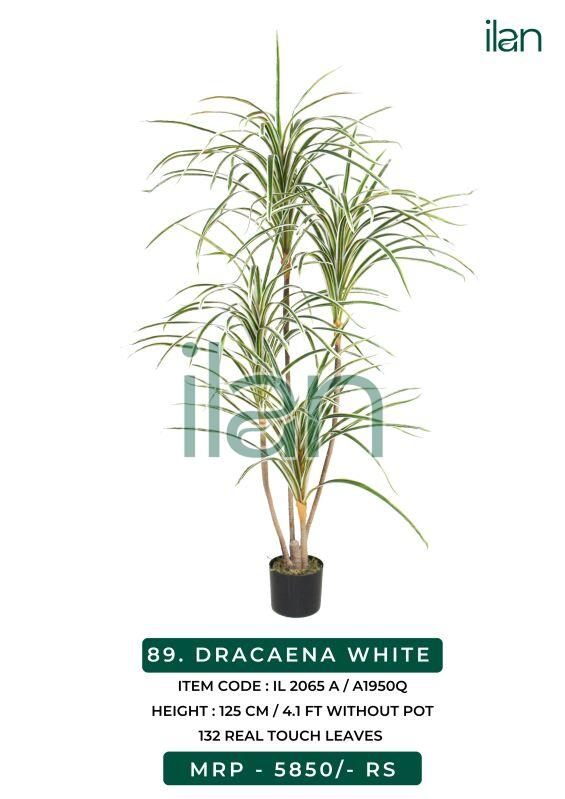 dracaena white artificial plants