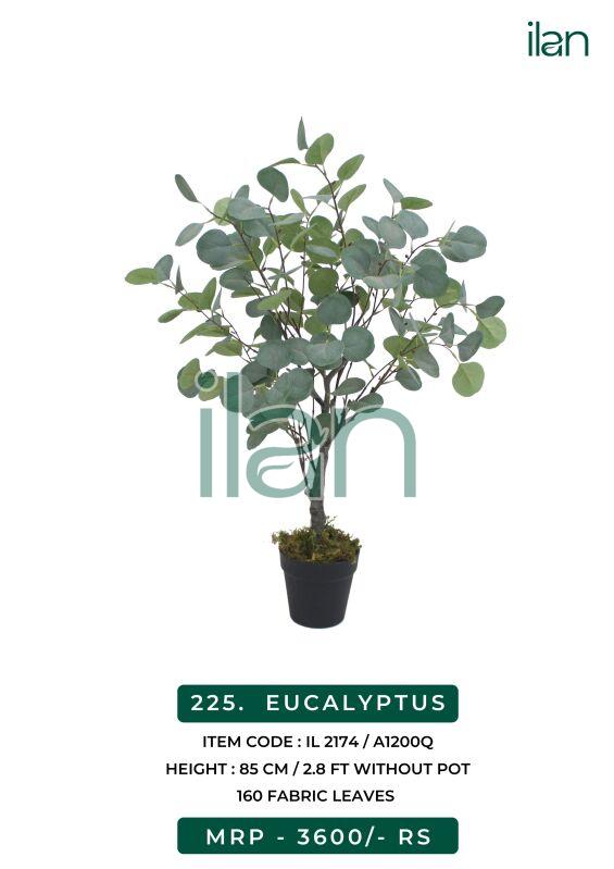 Eucalyptus 2174 artificial plants, Size : 2.8 FT