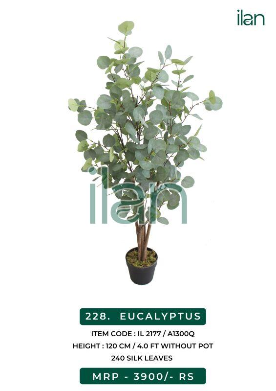 Eucalyptus 2177 artificial plants, Size : 4 FT