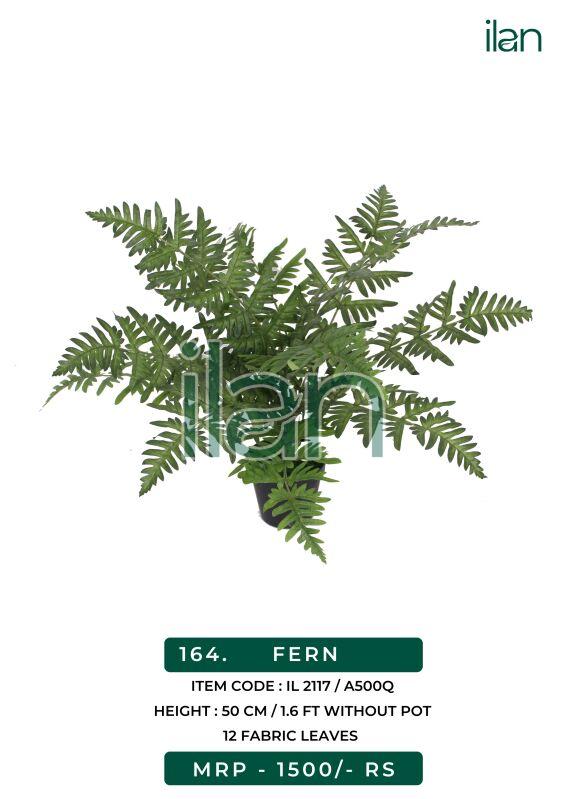 FERN, Feature : Easy Washable