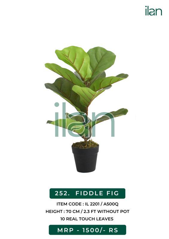Fiddle fig artificial plants, Size : 2.3 FT