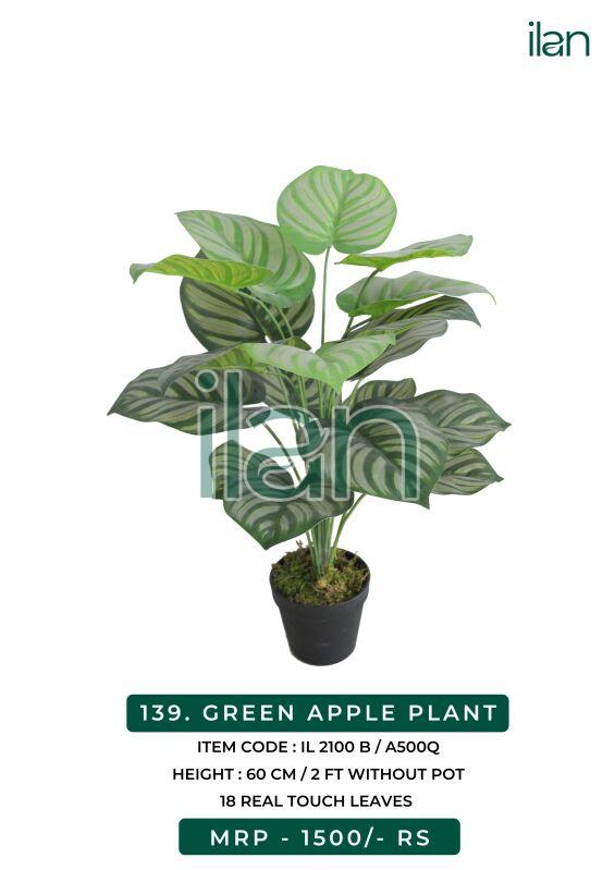 Green apple decorative plant 2100 b, Feature : Easy Washable