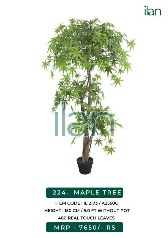 Maple 2173 artificial plants, Size : 5 FT