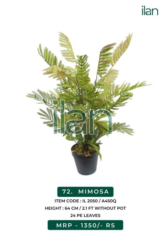 Mimosa decorative artificial plants, Feature : Dust Resistance, Easy Washable
